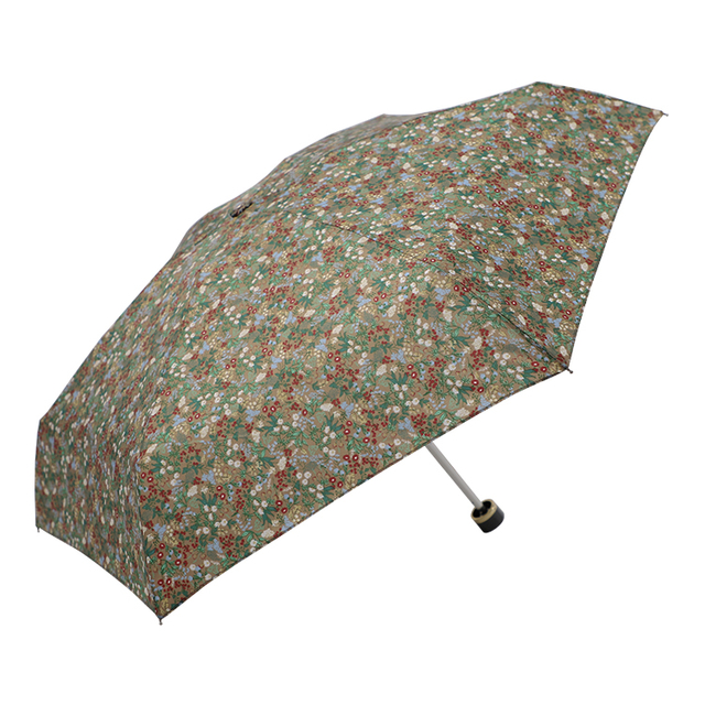 Manual Open and Manual Close 5 Folding Travel Umbrella with EVA case TYS-F020